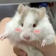 爱无差异
