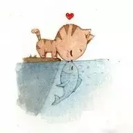 莫回头