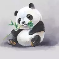 laotongzhi2018