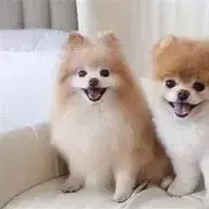 穿梭时光