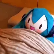 百年橘皮