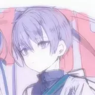 落叶风花