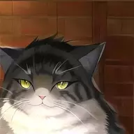 枫亭雨栀
