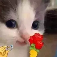 煦归