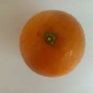 丹 尼