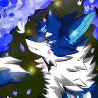 小 白