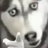 你最好有事