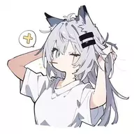 木韩