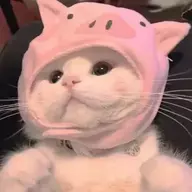 Ferociouscat
