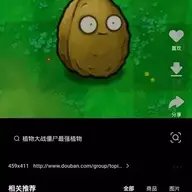 Nut114514