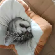 月亮麻薯团