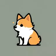 小柯同学