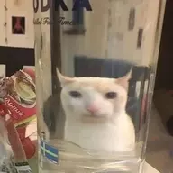 Mechti