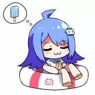 13 元入函