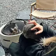 野生拾乐