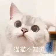 MYXBXiaoba