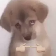shui