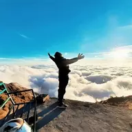 一大条鲨鱼