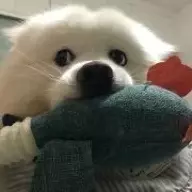用户7749994053