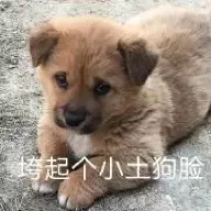 -蔺承佑_