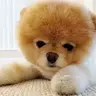 Benben
