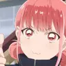 某猫猫