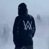 1462903025