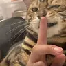 白雾紅尘