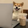 许 硕