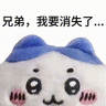 LSHZXC