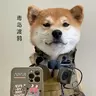 毒岛渡鸦