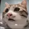 4433