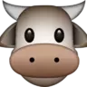 qycraft