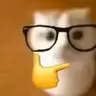 兔兔大王