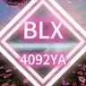 4092YA