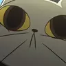 3_yyy
