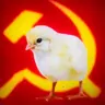 wchicken