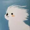 xxxhanxxx