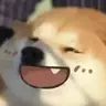 尘芥