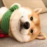 Fellsad