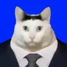 aaa猫粮代购