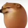 55444444