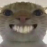 小安鱼