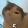 北渡南岸