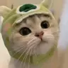 中亦無