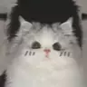 YJ_