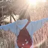 忻辰大使
