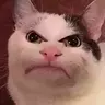 RegadPole