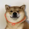 二胡