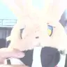忆06